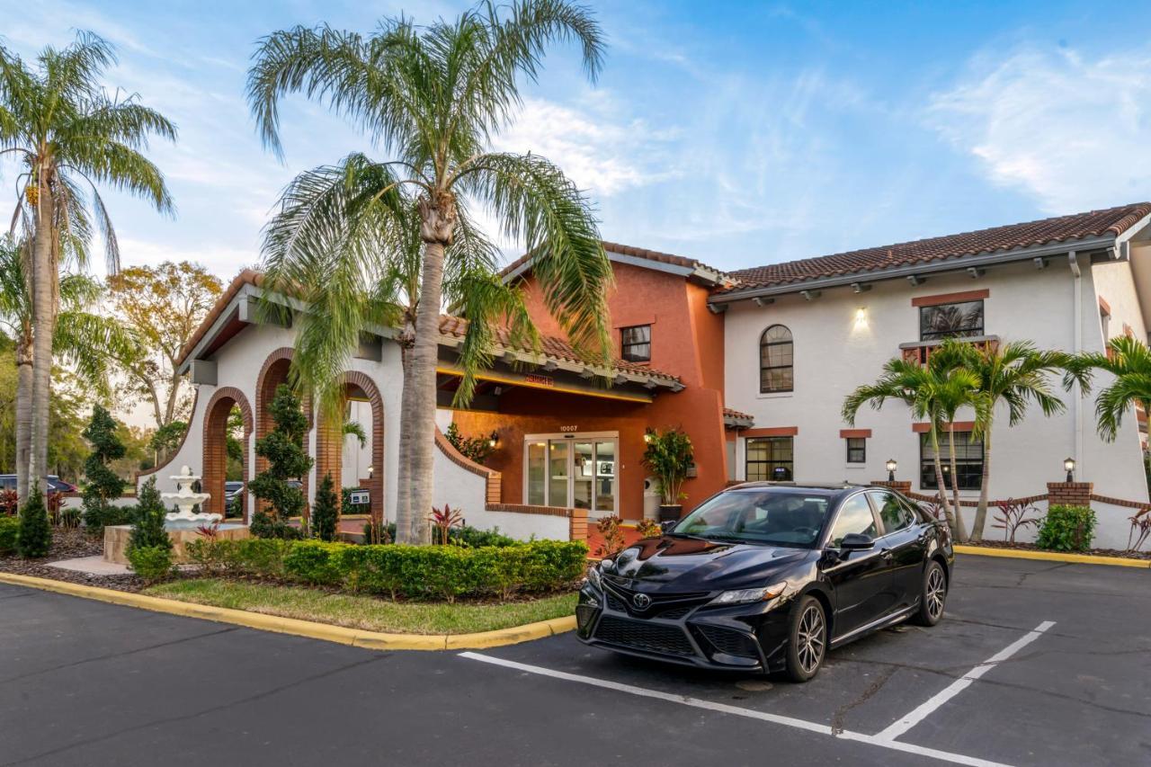 Clarion Pointe Tampa-Brandon Near Fairgrounds And Casino Hotel Mango Eksteriør billede